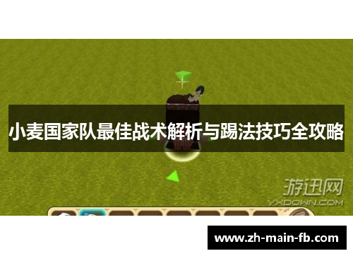 小麦国家队最佳战术解析与踢法技巧全攻略