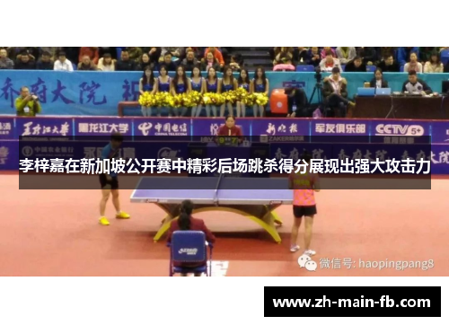 李梓嘉在新加坡公开赛中精彩后场跳杀得分展现出强大攻击力 李梓嘉在新加坡公开赛中精彩后场跳杀得分展现出强大攻击力