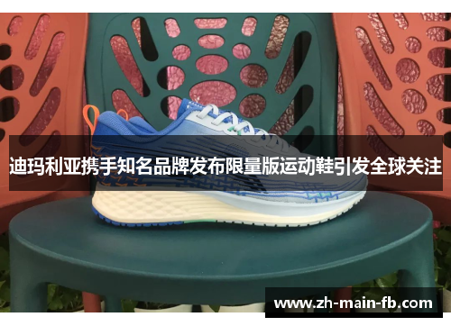 迪玛利亚携手知名品牌发布限量版运动鞋引发全球关注