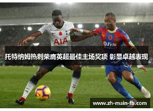 托特纳姆热刺荣膺英超最佳主场奖项 彰显卓越表现 托特纳姆热刺荣膺英超最佳主场奖项 彰显卓越表现